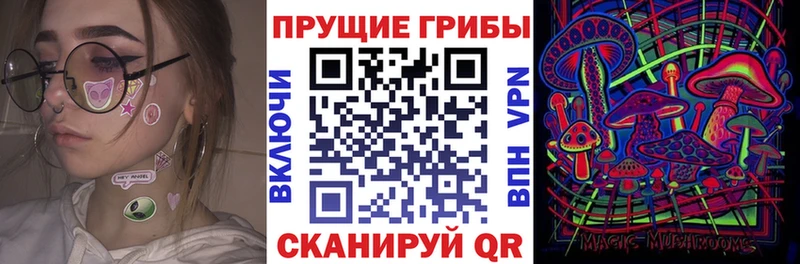 наркошоп  Бузулук  Галлюциногенные грибы Magic Shrooms 