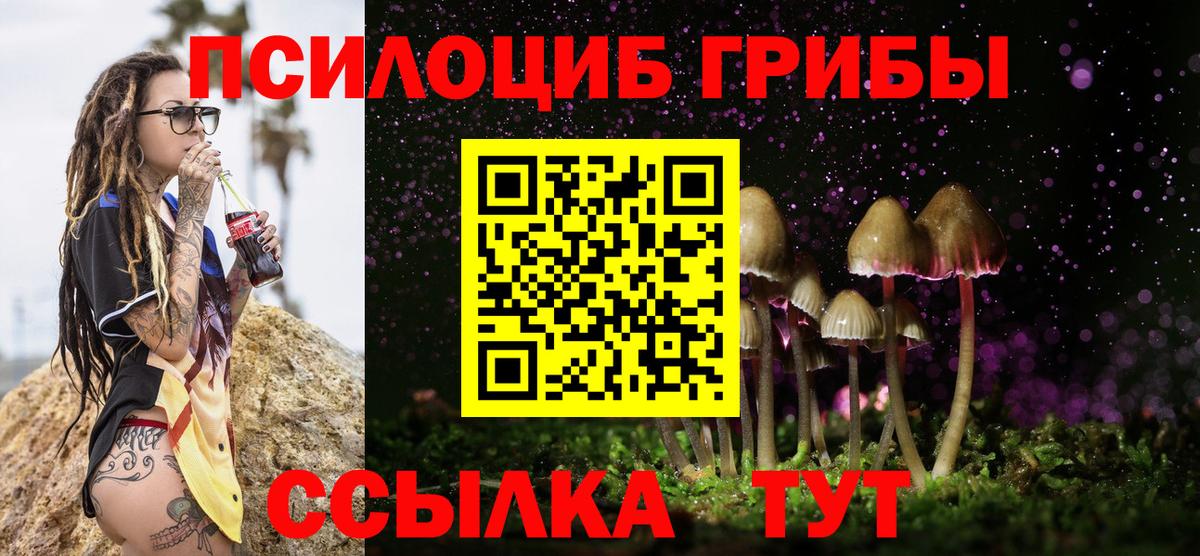 Псилоцибиновые грибы Magic Shrooms Бузулук